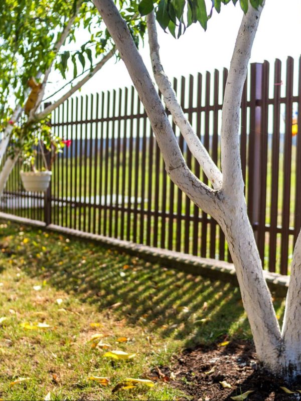 Steel fence next to trees in a backyard.