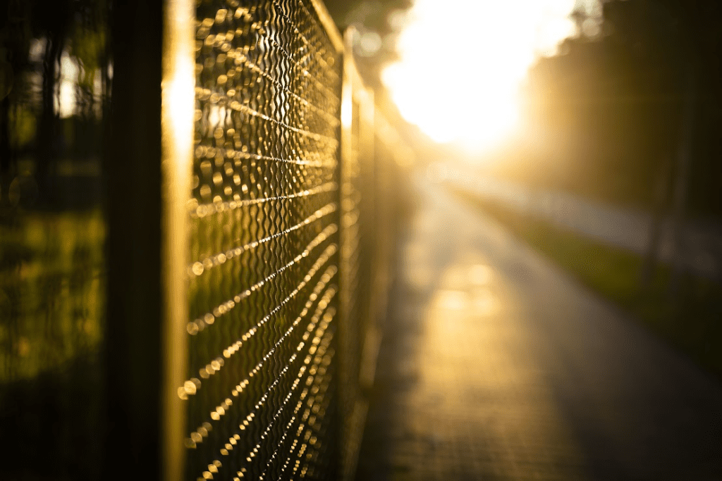 How Steel Fences Compare to Wood and Vinyl Options