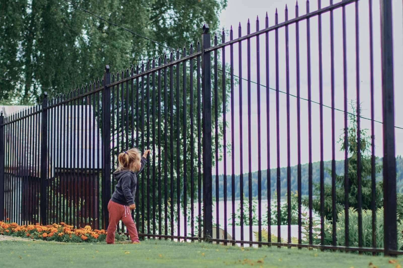 Steel Content Posts How Steel Fence Posts Improve the Longevity of Any Fencing System